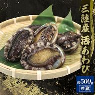 活エゾアワビ 約500g 冷蔵 蝦夷あわび 三陸 アワビ 鮑【56500242】