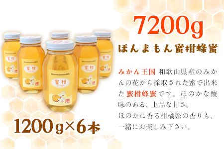 ほんまもん蜜柑（みかん）蜂蜜 1200g×6本 計7200g 村上養蜂《30日以内に出荷予定(土日祝除く)》和歌山県 紀の川市---wsk_muraymh6_30d_23_110000_7200g---