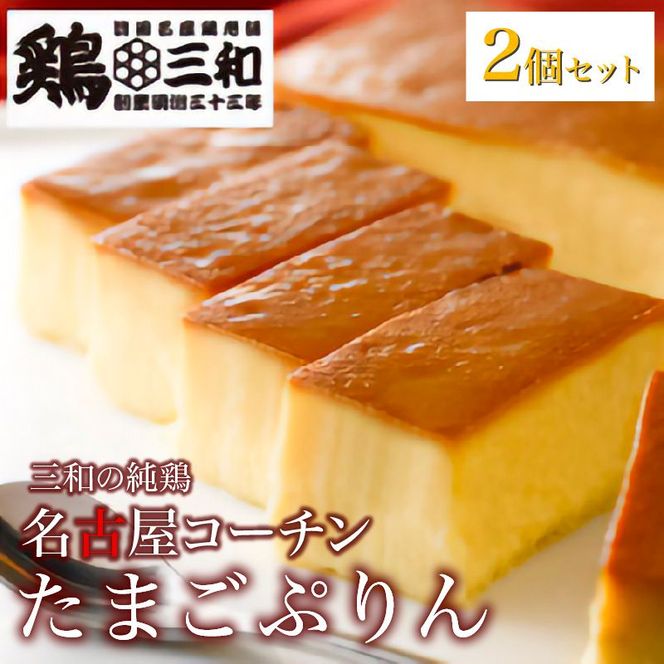 三和の純鶏名古屋コーチンたまごぷりん2個セット[052S03]