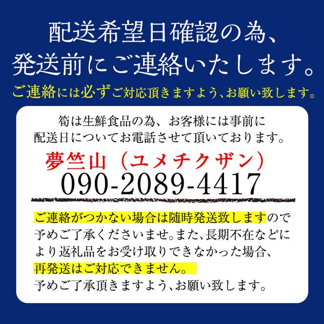 a806  ＜先行予約受付中！2024年12月下旬～2025年2月末の間に発送予定＞数量限定！早堀り筍(正味約1.5kg)【夢竺山株式会社】国産 早堀り たけのこ タケノコ 筍 竹の子