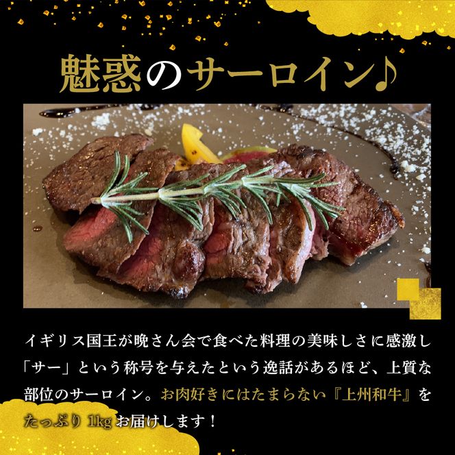 牛肉 サーロイン 【上州和牛】 ブランド 牛 1kg (250g×4枚) 群馬 県 千代田町 国産 特産品 贈答用 ギフト プレゼント キャンプ ソロキャン バーベキュー 送料無料