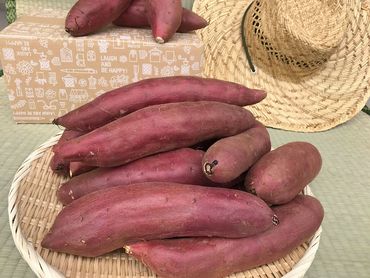 焼き芋好きのためのさつま芋　紅はるか10kg【茨城県共通返礼品・行方市産】（KBE-59）