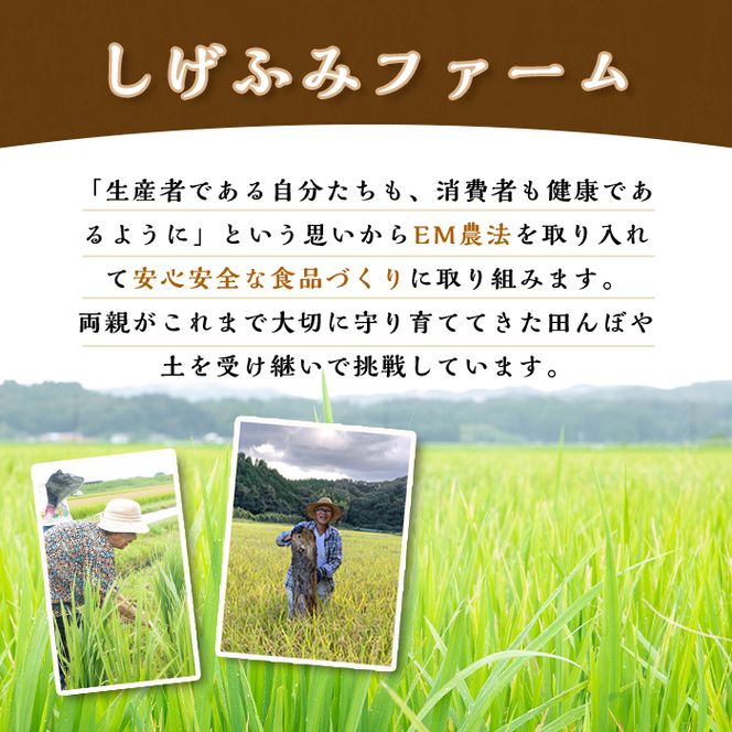 isa532 ≪毎月数量限定≫あんしん そば粉(計約2kg・約500g×4P)【しげふみファーム】