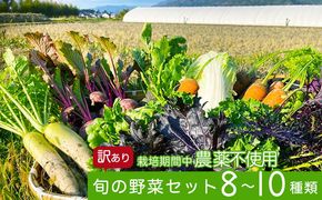 かたもとオーガニックファームの農業研修生が無農薬・自然栽培で育てたお野菜セット 8～10品目 ≪産地直送 朝採れ 新鮮 京野菜 京都府 亀岡産 ≫