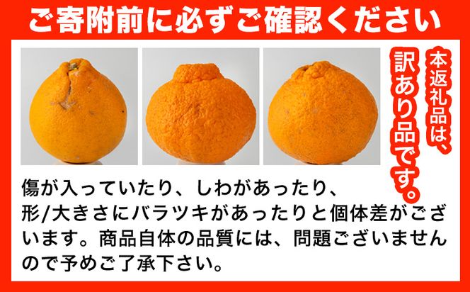 訳あり 不知火 ( デコポン と同品種 ) しらぬい 約 5kg (M～5Lサイズ) どの坂果樹園《2025年2月上旬-4月上旬頃出荷》 和歌山県 日高川町 しらぬい 不知火 デコポン でこぽん 訳あり不知火 訳ありデコポン 旬 果物 フルーツ 柑橘 産地直送 送料無料---wshg_dsk14_ad24_23_9000_5kg---