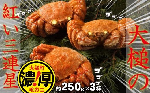 y茧ƒzyߘa8NzOYIуKjZbg(250g×3t(3))y2026N2?4zyzwszy0tsuchi00554zy08z
