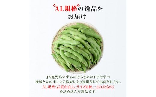 ＜先行予約受付中！2026年4月中旬以降順次発送予定＞春の味覚の鹿児島県産そらまめ(4kg) 大容量 国産 野菜 そら豆 ソラマメ セット 詰合せ 詰め合わせ 旬 ベジタブル 期間限定 AL規格 国産 鹿児島県産 阿久根市産 冷蔵【鹿児島いずみ農業協同組合】akn018-11