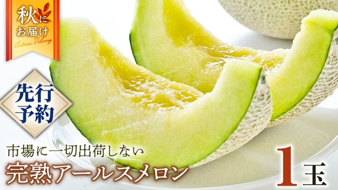 完熟 アールスメロン 1玉 2025年産 先行予約 メロン マスクメロン 青肉 果物 フルーツ 茨城県産 期間限定 数量限定 [AF086ci]