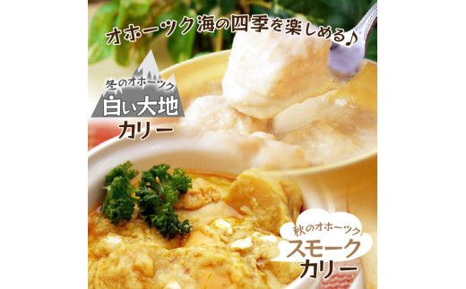 クリシュナ 秋冬オホーツクカリー 2食セット 手焼きナン付 ( 食品 加工品 惣菜 カレー ナン セット 五つ星ホテル オホーツク海 オホーツクカレー )【127-0006】