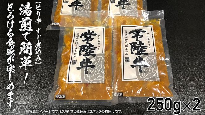 【茨城県共通返礼品】【 常陸牛 】 すじカレー 200g × 2 ・ ピリ辛 すじ煮込み 250g × 2 食べ比べ セット 常陸牛 カレー すじ煮込み 牛肉 時短 ふるさと納税 10000円 [AU105ya]