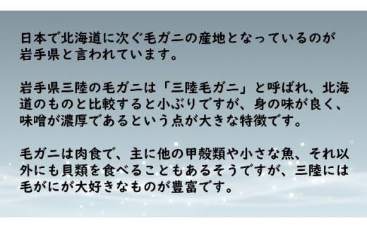【令和8年発送】三陸産！活毛ガニ 600g×1杯【2026年2月〜4月発送】【配送日指定不可】【0tsuchi01041】【08】