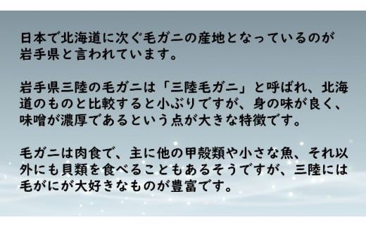 【令和7年発送】三陸産！活毛ガニ 600g×1杯【2025年2月〜4月発送】【配送日指定不可】【0tsuchi01041】【08】