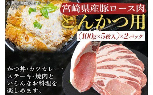 ＜宮崎県産豚肉 『とんかつ用』セット（ロース・ヒレ）合計2.0kg＞翌月末迄に順次出荷【b0384_ty】