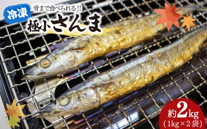 極小 さんま 2kg 1kg×2袋 冷凍 サンマ 秋刀魚 こぶり 骨まで食べられる 【kouyou006】
