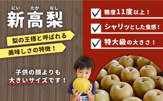 【2026年9月中旬～発送】【シャリッと食感がたまらない！】新高梨 2玉 / 梨 なし 南島原市 / ふるさと企画 [SBA007] 
