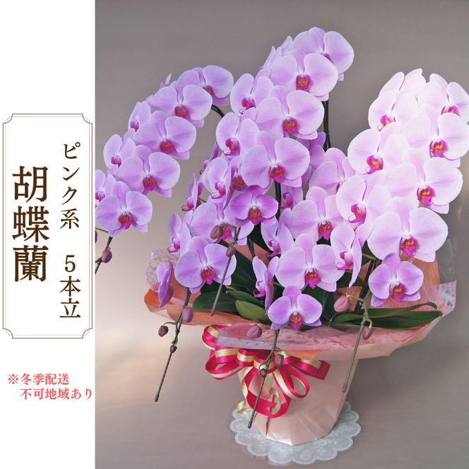 y򕌌䒬zAH-3 Ӓ@sNn@5{