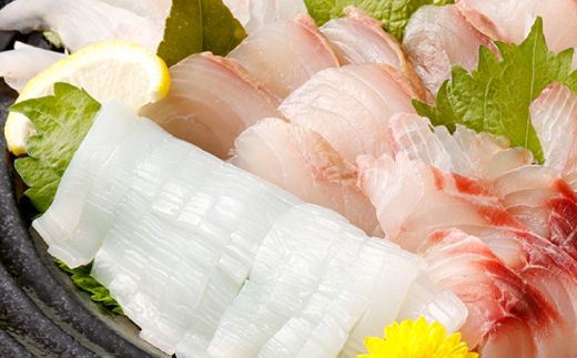 【ふるさと納税】初音の毎月お届け！定期便 _ 冷凍 調理済み 時短 湯せん お弁当 個包装 惣菜 小分け 子供 簡単調理 お取り寄せ 人気 湯煎 お湯ぽちゃ レトルト 温めるだけ　[hn069]