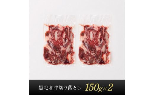 宮崎県産黒毛和牛 切り落とし 300g 【 肉 牛肉 黒毛和牛 精肉 】 [G0510]
