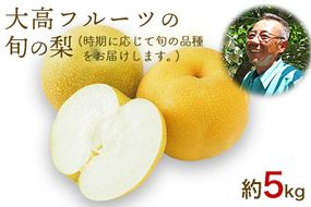 大高フルーツの旬の梨(幸水/豊水/秋麗/あきづき/甘太/新高)★約5kg(8-16玉前後) 《7月下旬-10月中旬頃出荷》予約受付中 フルーツ 秋 旬★熊本県玉名郡玉東町---sg_cotakans_l710_r7_14500_5kg---