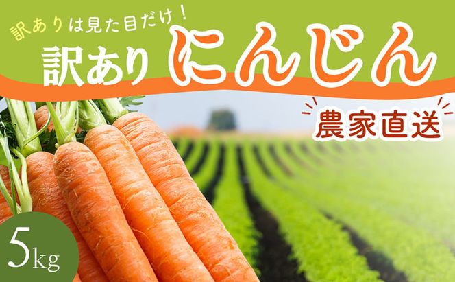 BH051 人参 訳あり 堀農園のこだわり人参 約5kg [ 野菜 訳アリ にんじん ニンジン キャロット 5キロ 先行予約 常備野菜 国産 贅沢宝庫 長崎県 島原市 ]