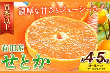 ＜先行予約＞一度は食べていただきたい! 有田産のせとか 青秀以上 約4～5kg （サイズおまかせ） 厳選館 《2025年2月下旬-3月下旬頃出荷》 和歌山県 日高川町 せとか 柑橘 有田産---iwshg_tmt141_2g3g_24_20000_5kg---