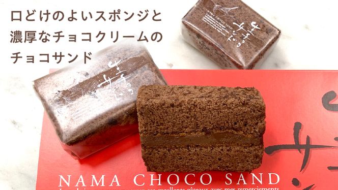 【 数量限定 】 生チョコ サンド 10個 贅沢 濃厚 スイーツ デザート ケーキ チョコレート 冷凍 [BX002us]