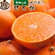 ［先行予約］家庭用 せとか5kg+250g（傷み補償分）［柑橘・春みかんの王様］［わけあり・訳あり］［光センサー選果・食べ頃出荷］［IKE63w］  	CZ047