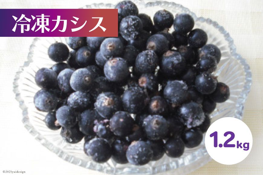 冷凍 カシス 1.2kg [ノーザン・ベリーズ 北海道 砂川市 12260393] 果物 フルーツ 国産 自家栽培