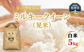 【令和6年度米】環境配慮「魚津のミルキークイーン（晃米）」5kg（白米） ｜ MK農産 白米 銘柄米 ブランド米 ご飯 おにぎり お弁当 和食 主食 国産 産地直送 甘み 香り もちもち ※2024年10月下旬頃より順次発送予定 ※北海道・沖縄・離島への配送不可