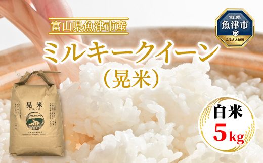 【令和7年度米】【農家直送】環境配慮「魚津のミルキークイーン（晃米）」5kg（白米） ｜新米 MK農産 白米 銘柄米 ブランド米 ご飯 おにぎり お弁当 和食 主食 国産 産地直送 甘み 香り もちもち ※北海道・沖縄・離島への配送不可