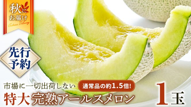 y錧}szn  A[X P 2026NY s\  }XN  ʕ t[c 錧Y Ԍ ʌ [AF087ci]