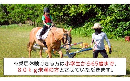 乗馬体験１回コース 乗馬 レッスン 見学 初心者 日帰り 体験 馬 チケット[CJ001us]