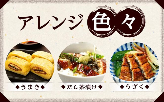 【有田川町×湯浅町】うなぎ蒲焼2本＆角長特製蒲焼タレ1本セット Y007