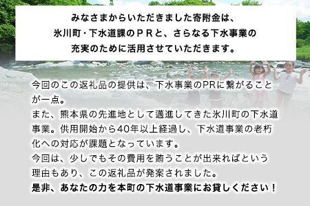 1/6スケール「マンホールレプリカ」コースターサイズ 氷川町役場建設下水道課《90日以内に出荷予定(土日祝除く)》---hkw_hky_1_11cm---