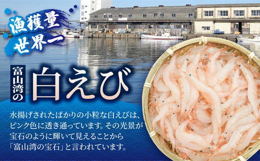 白えび 昆布締め 刺身 詰め合わせ 3種 セット おつまみ 生むき身 おぼろ昆布 冷凍 エビ 海老 魚介 魚介類 海鮮 魚 つまみ かねみつ