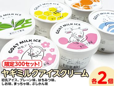 【限定300セット！】ヤギミルクアイスクリーム 6種類×各2個（全12個入）| 犬 猫 おやつ ※離島への配送不可◇