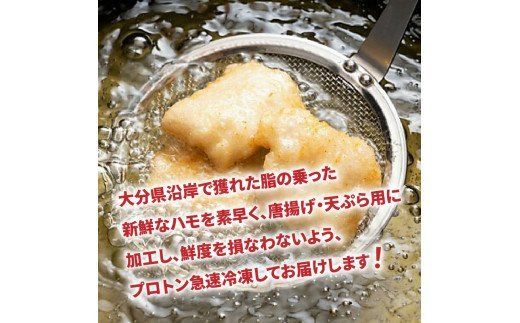 揚げたてが絶品！豊後ハモの唐揚げ＆天ぷら/1kg_0274N