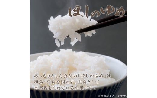 《7営業日以内に発送》令和5年産 ほしのゆめ 10kg ( 北海道産 精白米 お米 米 こめ 精米 10キロ )【080-0038】