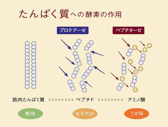 まいにち酵素生活　糀パウダー　プレーン200g【まるみ麹本店】014-002