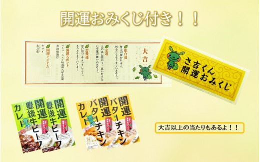 開運！豊後牛ビーフカレー2箱＆バターチキンカレー2箱（計4箱）_2424R