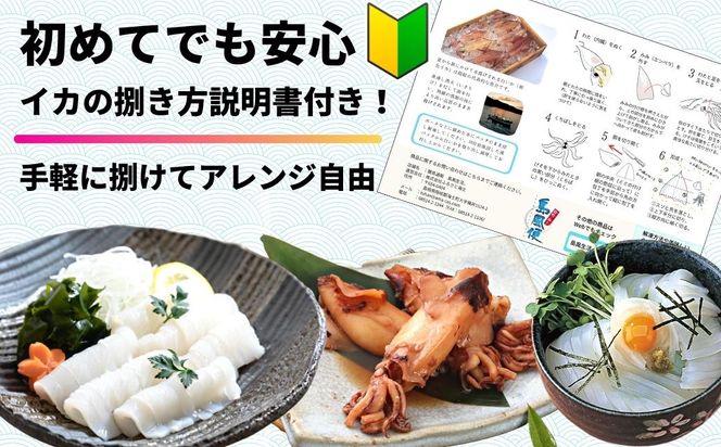 【島獲れ白いか】ブランドイカ 白いか130g 4杯セット