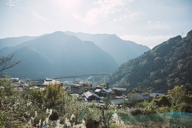 鹿モモ肉 約700g [日添 熊本県 五木村 51120300] ジビエ 紅葉 もみじ 低カロリー 熊本県 五木村 特産