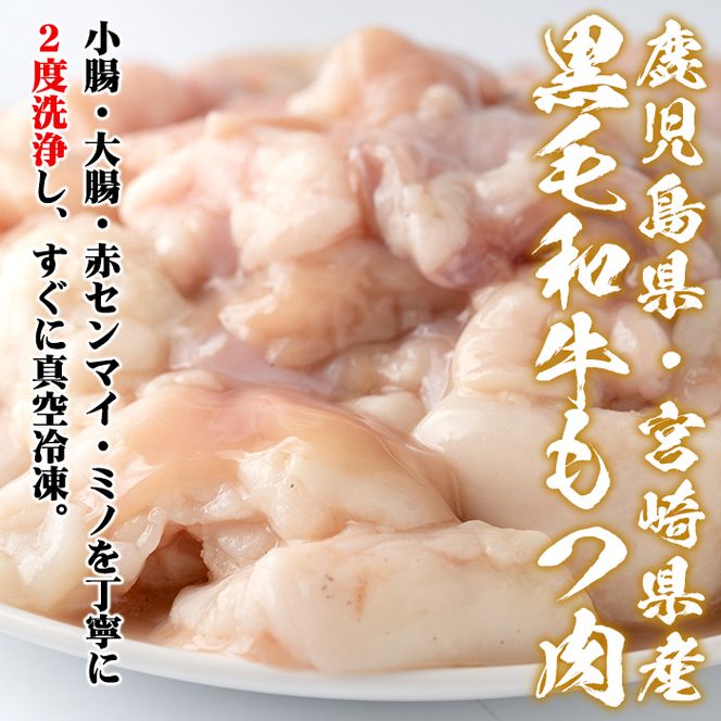 isa341 鹿児島県・宮崎県産黒毛和牛みそもつ鍋(2～3人前)【株式会社ながたや】