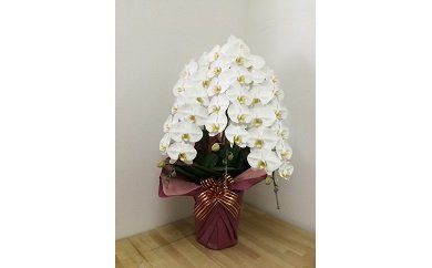 ya̎RLcsz99 Ӓ@3{(A99-2)