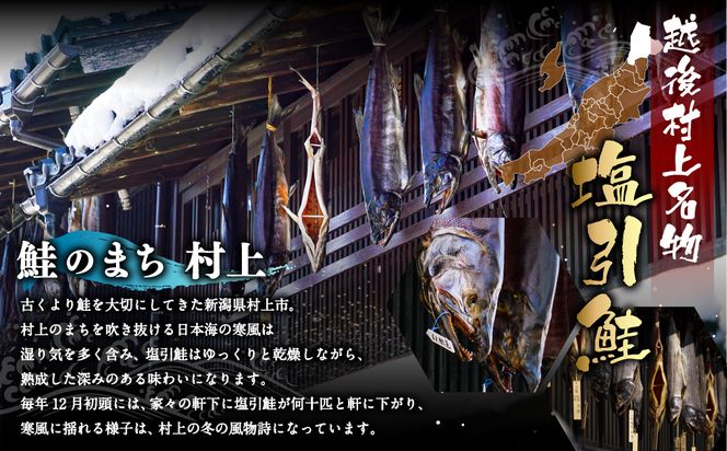 HB4016【障がい者応援品】 塩引鮭半身（スライス）