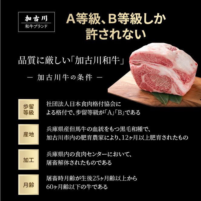 加古川和牛焼肉セット（700g） 肩モモ・カルビ