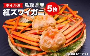 鳥取県産　ボイル紅ズワイガニ5枚セット ※着日指定不可 ※離島への配送不可 ※2025年2月上旬～4月下旬頃に順次発送予定