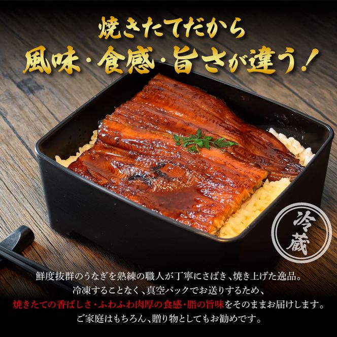 ～四国一小さなまち～ ヤマシン特選うなぎの蒲焼き３尾（特製タレ付き） うなぎ 鰻 ウナギ 国産 高知県産 蒲焼 かばやき 白焼き 特製タレ 冷蔵 配送 真空パック