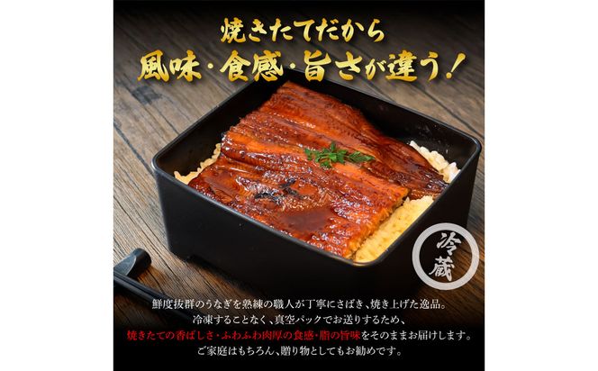 ～四国一小さなまち～ ヤマシン特選うなぎの蒲焼き２尾＋白焼き１尾入り（特製タレ付き） うなぎ 鰻 ウナギ 国産 高知県産 2尾 蒲焼 かばやき 白焼き 特製タレ 冷蔵 配送 真空パック