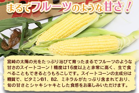 数量限定【2026年発送】＜宮崎県産 スイートコーン 約4.5kg＞2026年5月下旬～6月中旬迄に順次出荷【 先行予約 穀物 野菜 甘い 季節限定 とうもろこし おやつ ご飯 スープ サラダ BBQ 屋台 】【a0038_ja】